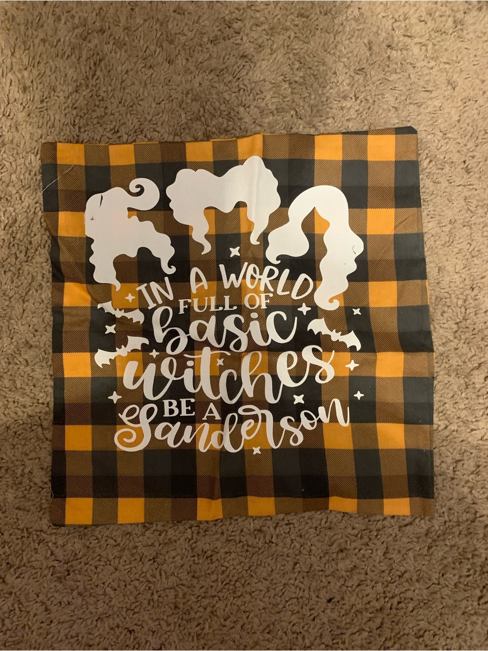 Hocus Pocus themed Halloween pillow case-great for decorations! 14 x 14 sized.